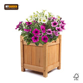 Wooden Planter - Small