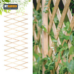 180*60cm Expanding Wooden Trellis