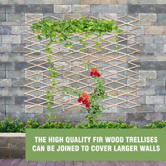 180*60cm Expanding Wooden Trellis