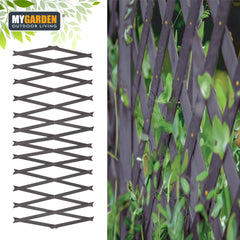 180*30cm Expanding Wooden Trellis