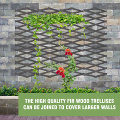 180*30cm Expanding Wooden Trellis