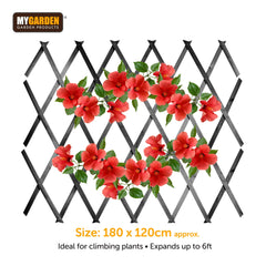 180*120cm Expanding Wooden Trellis