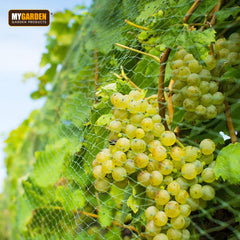 2x4m Anti-Bird Pond Net for Garden Protection