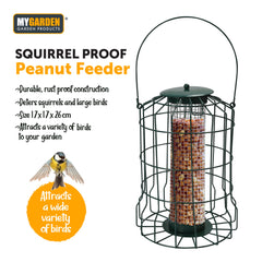 Squirrel Proof Peanut Feeder
