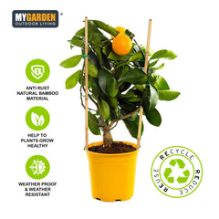 20 Pack of Sturdy Bamboo Canes for Garden Support