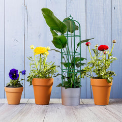 Decorative Garden Obelisk for Climbing Plants and Vines