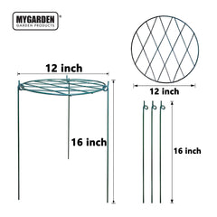 50cm Plant Support Canes