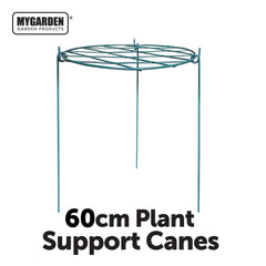60cm Plant Support Canes