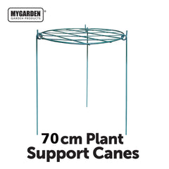 70cm Plant Support Canes