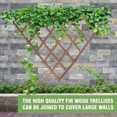 140 x 70cm Expanding Wooden Trellis