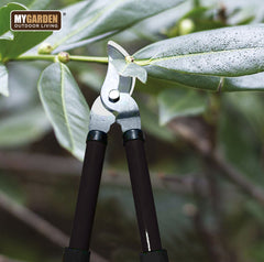 Complete Garden Pruning Set for Cutting and Trimming Tasks