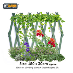 180 x 30cm Expanding Wooden Trellis