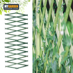 180 x 30cm Expanding Wooden Trellis