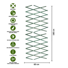 180*60cm Expanding Wooden Trellis