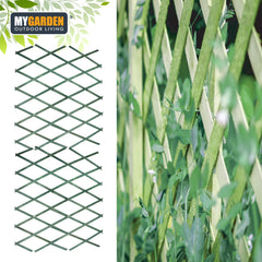180*120cm Expanding Wooden Trellis