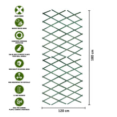 180*120cm Expanding Wooden Trellis