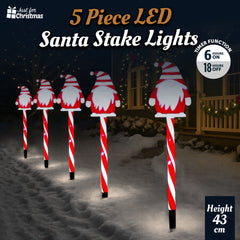 Christmas-5pc LED Santa Stake Light (6)