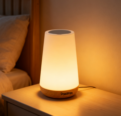 Desk Lamp LED