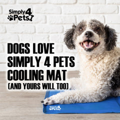 Pet Cooling Pad