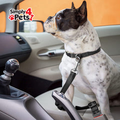Comfortable Dog Anti-Shock Car Seat Belt