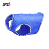 Adjustable Cooling Dog Collar - Small Size