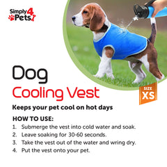 Adjustable Cooling Dog Collar - Extra Small Size