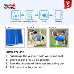 Adjustable Cooling Dog Collar - Small Size