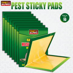 10PK Rat Sticky Pad