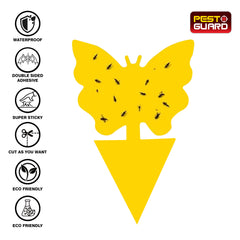 81 Piece Sticky Traps with Tweezers