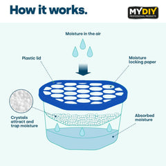 12PK Interior Dehumidifier