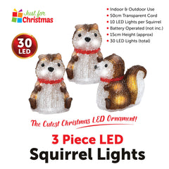 3 Piece LED Squirrel Lights