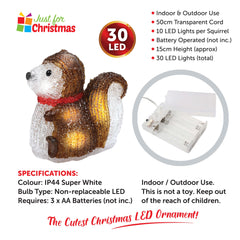 3 Piece LED Squirrel Lights