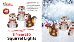 3 Piece LED Squirrel Lights