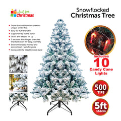 Snowflocked Christmas Tree