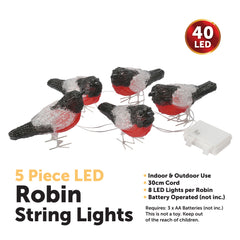 5 Piece LED Robin String Lights