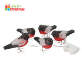 5 Piece LED Robin String Lights