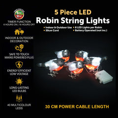 5 Piece LED Robin String Lights