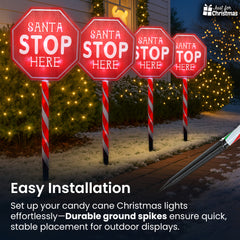 Christmas-Tree Tunnel Lights