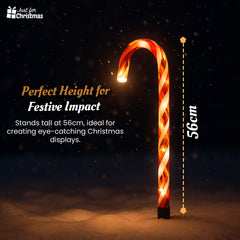 Christmas-6PK Candy Canes