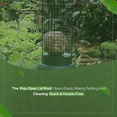 Durable Hanging Bird Nut Feeder for Garden