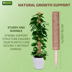 Coir Moss Plant Support