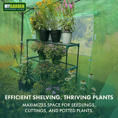 4 Tier Greenhouse with Shelving