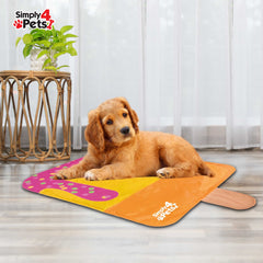 Fun Ice Lolly Design Pet Cooling Mat