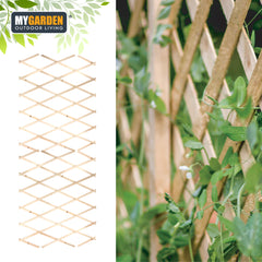 Expanding Wooden Trellis Natural 180*90cm