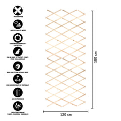 180*120cm Expanding Wooden Trellis