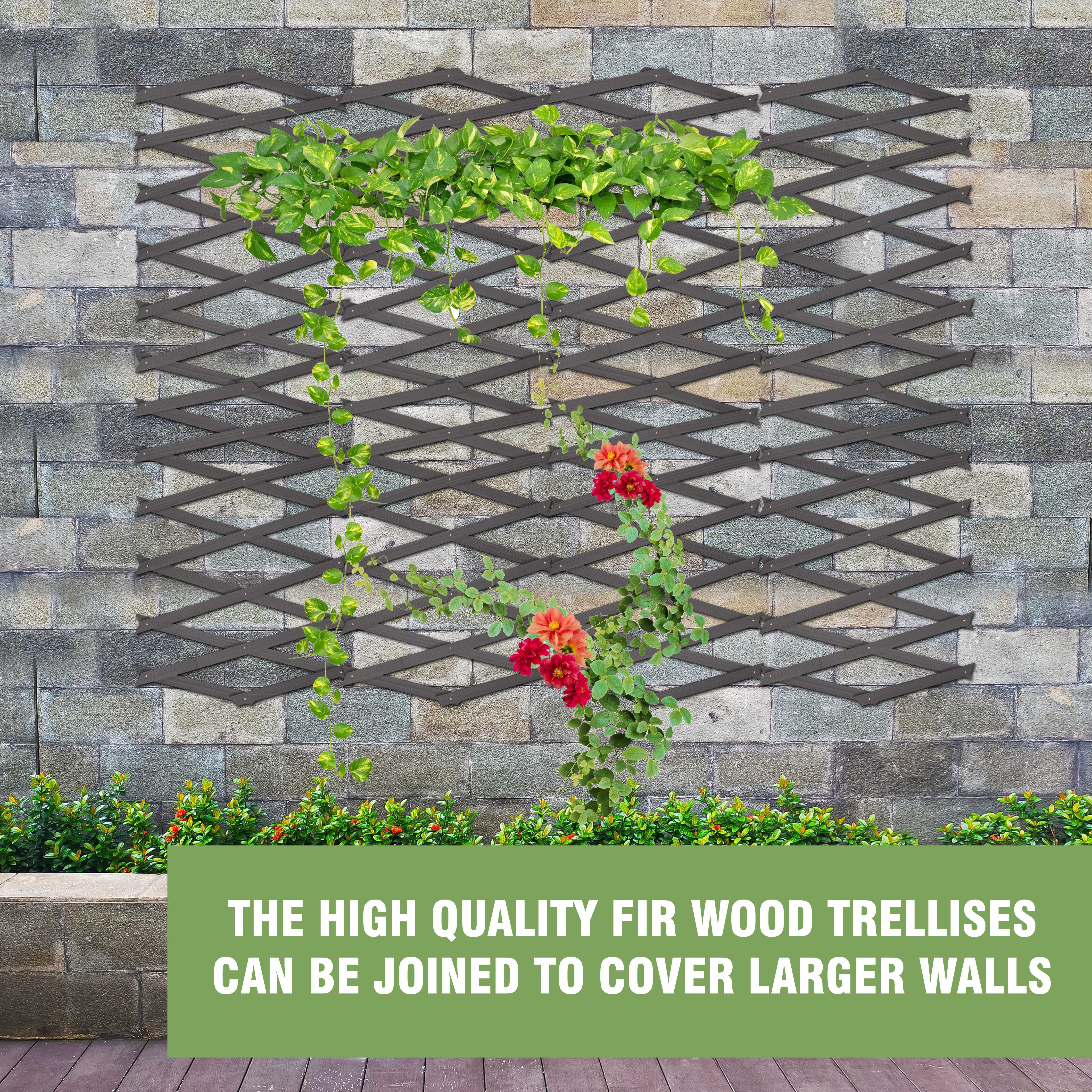 180*30cm Expanding Wooden Trellis