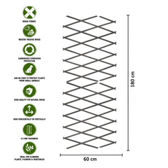 180*60cm Expanding Wooden Trellis