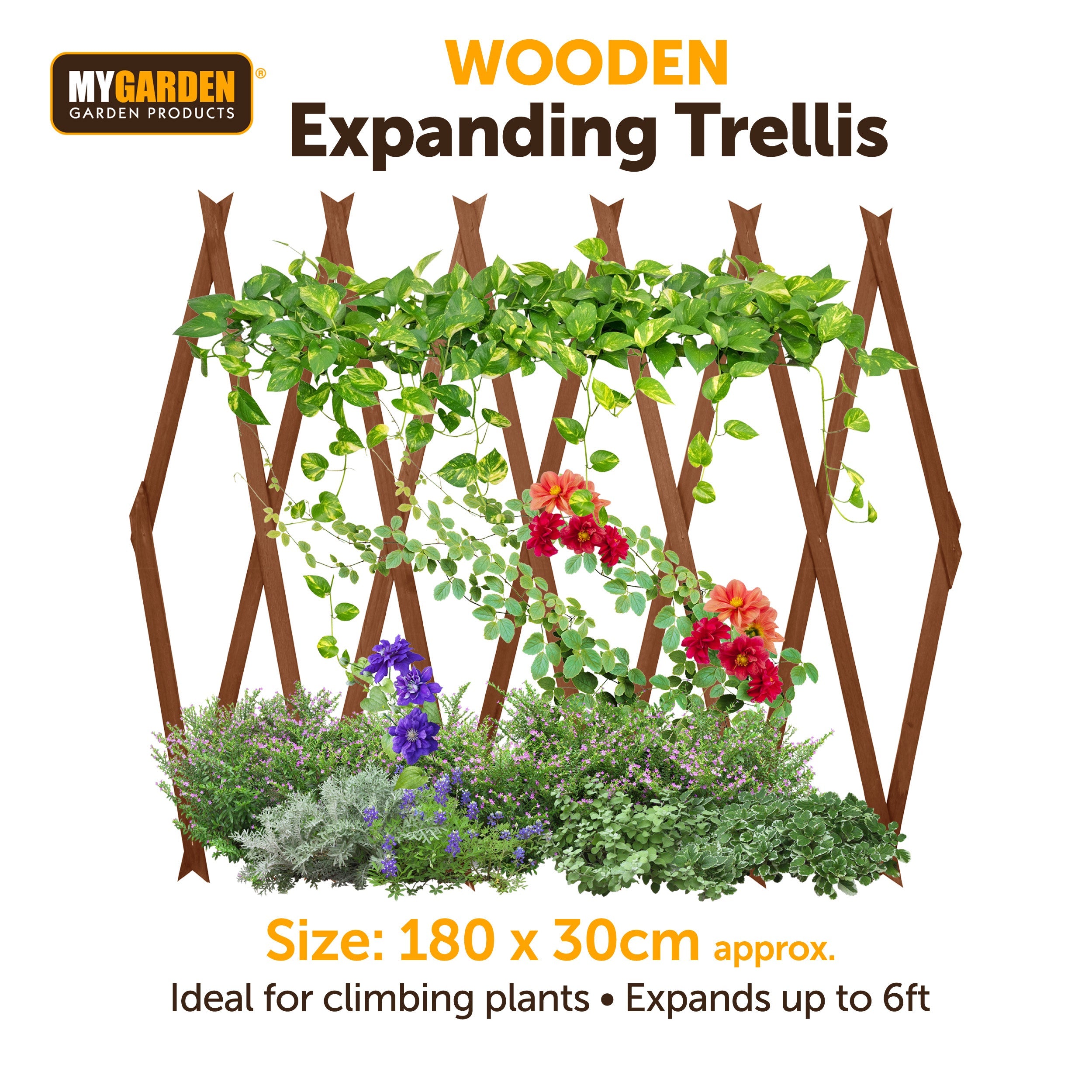 Expanding Wooden Trellis