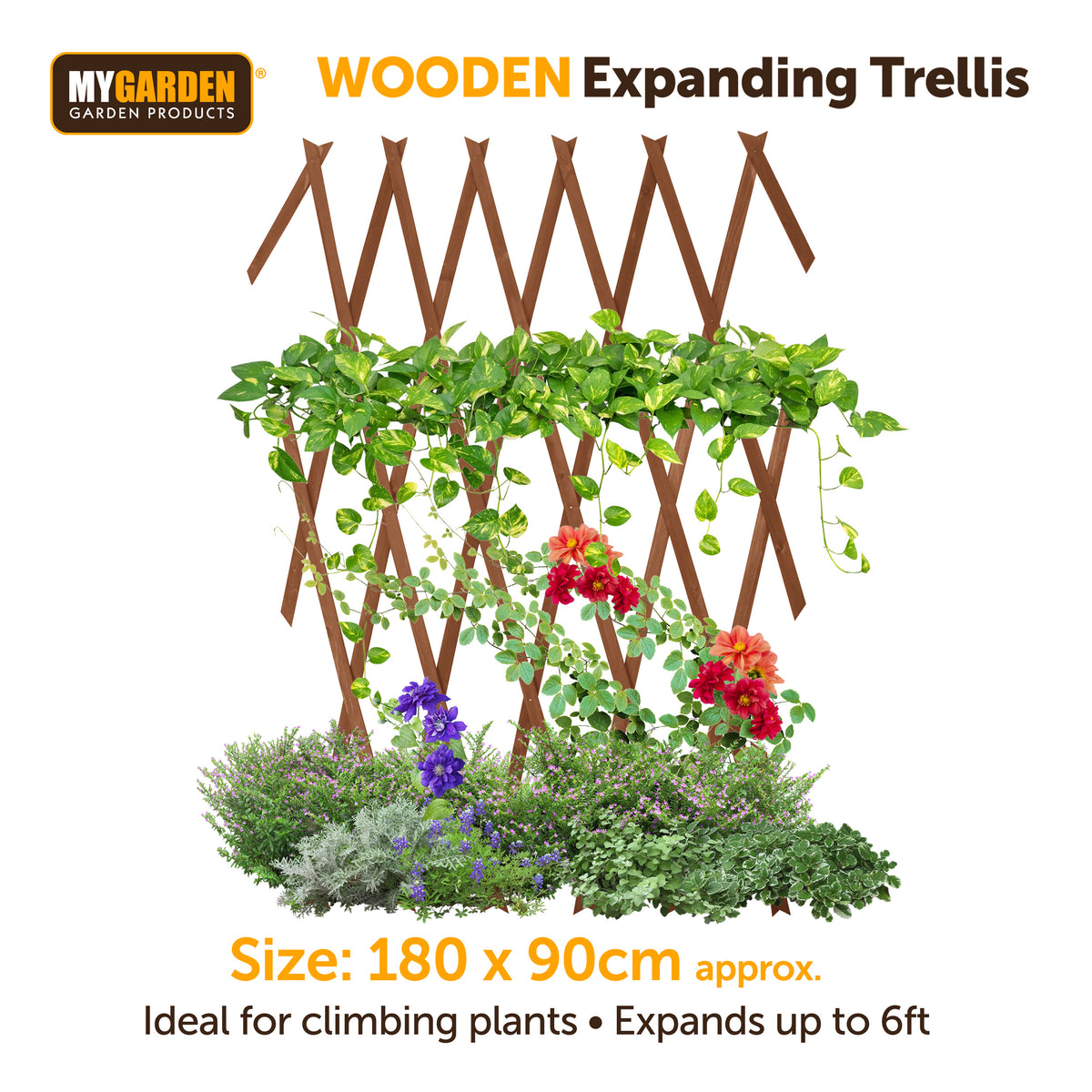 Expanding Wooden Trellis