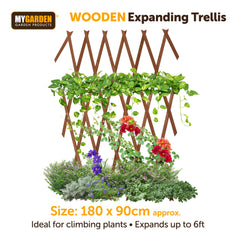 Expanding Wooden Trellis